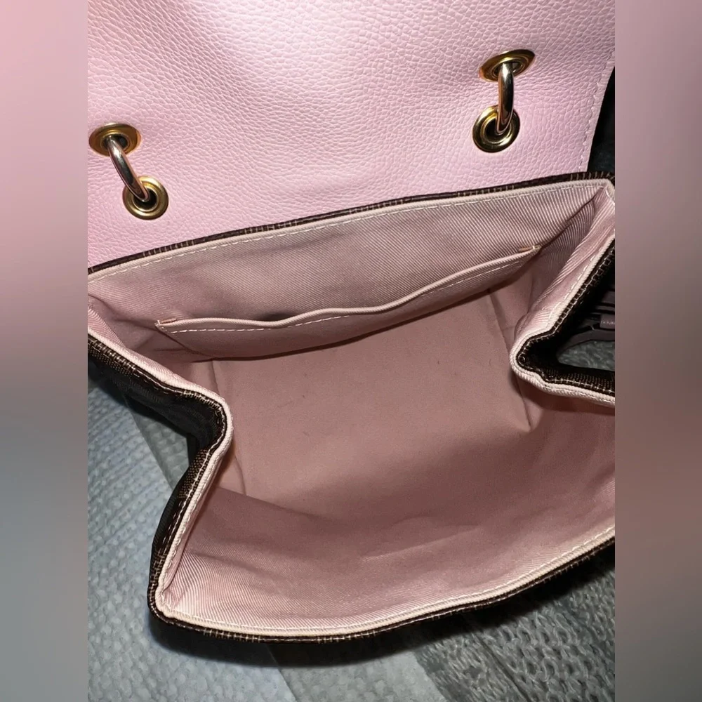 Louis Vuitton Damier Ebene Clapton backpack - Picture 2 of 5